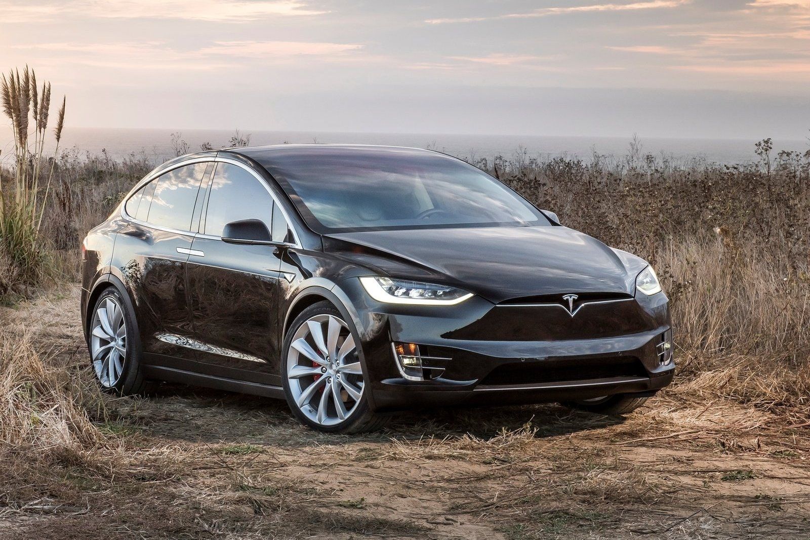 Tesla Model X, Perfect condition